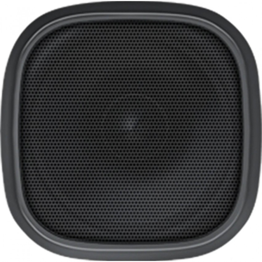 Speaker